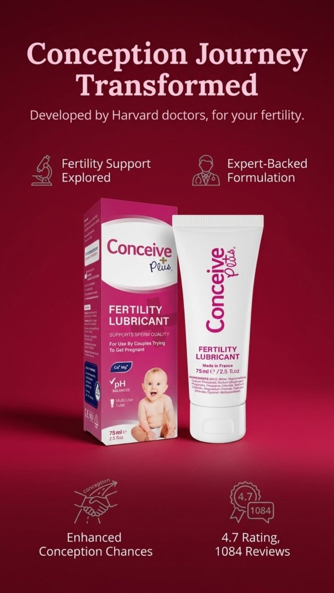 Best Time to Have Sex to Get Pregnant: A Fertility Window Guide - Conceive Plus® Asia