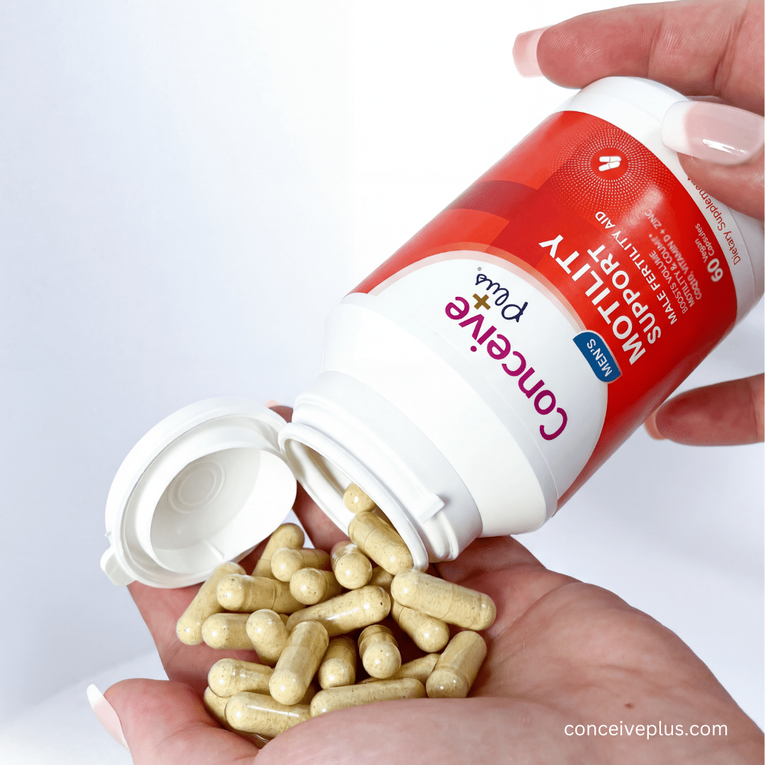 Fertility Diet: The Best Foods to Eat When Trying to Conceive in 2026 - Conceive Plus® Asia