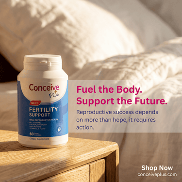 Fertility Myths Debunked: Separating Evidence-Based Facts from Common Misconceptions About Conception - Conceive Plus® Asia