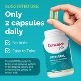 Conceive Plus prenatal supplement bottle with capsules and text on a teal background